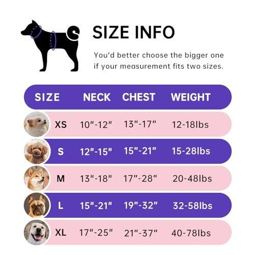 No Pull Dog Harness with Leash for Small Dogs Safety Features