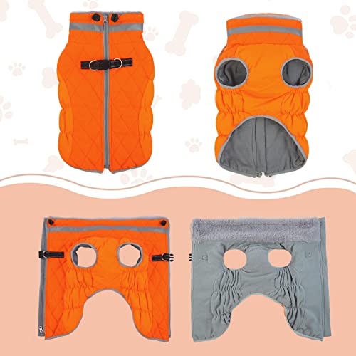 Warm Winter Dog Coat for Small, Medium, and Large Dogs