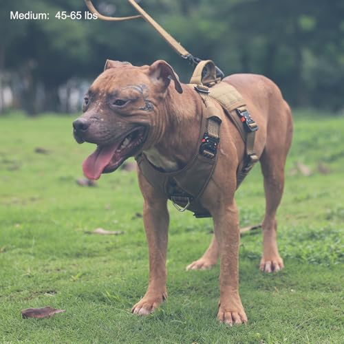 ICEFANG GN8 Tactical Dog Harness, Reflective Medium Size, No-Pull Leash Clip (Brown, Medium)