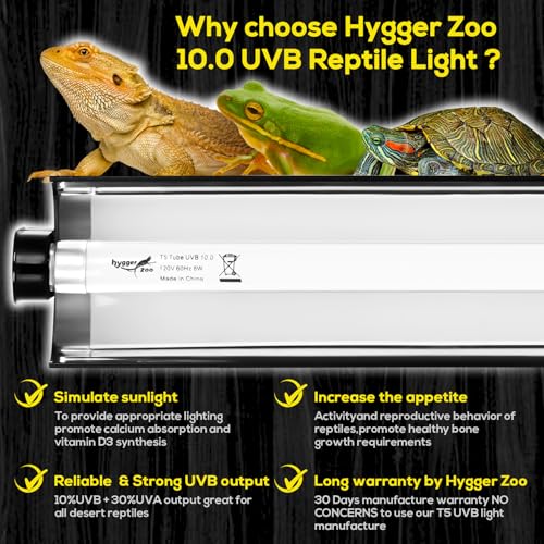 Tropical and Desert Reptile Light Fixture Combo Kit