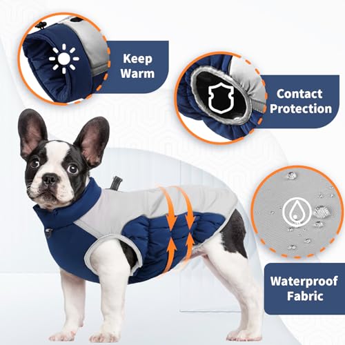 Winter Dog Coat for Large Dogs, Blue XL