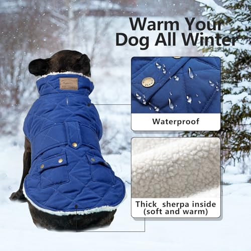 Winter Dog Coat for Small Dogs with Sherpa Lining - Blue, Medium Size
