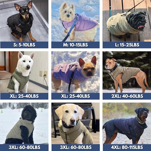 Spark Paws Medium-Large Dog Winter Coat, Water-Resistant & Warm Fleece-Interior, Olive, Size S
