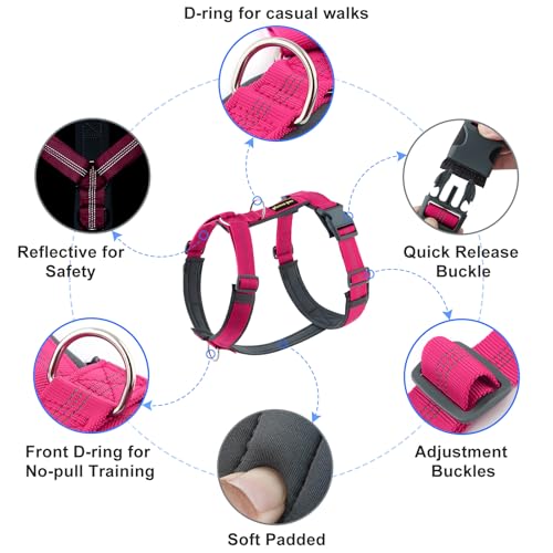 PLUTUS PET No Pull Harness for Medium Dogs (Hot Pink, M)
