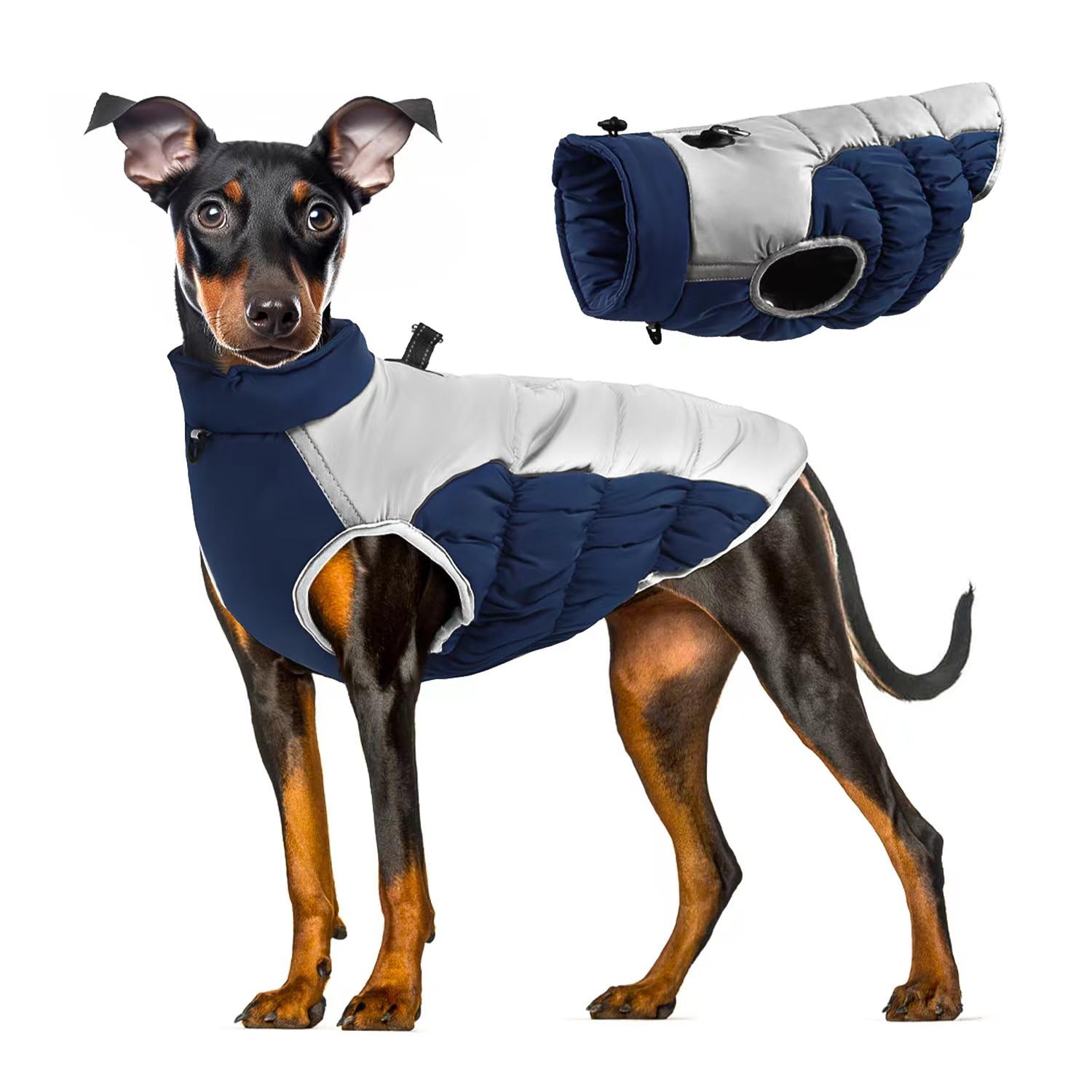 Winter Dog Coat for Large Dogs, Blue XL