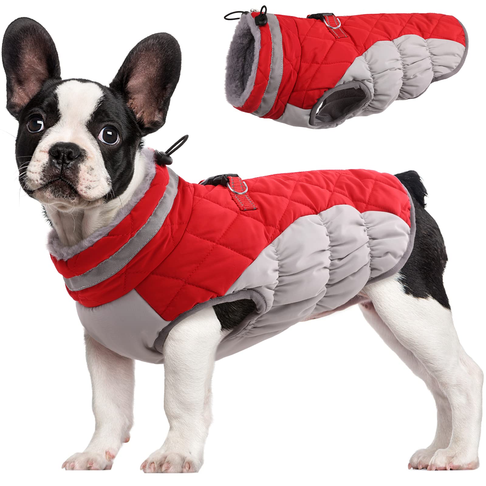 Red Warm Winter Jacket with Harness for Dogs (Medium)